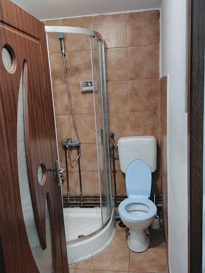 Vila Elena Ap 2 Apartment Bucharest Luaran gambar